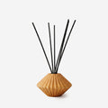 Aura Orbit (Diffuser)